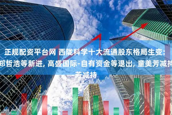 正规配资平台网 西陇科学十大流通股东格局生变: 郑哲浩等新进, 高盛国际-自有资金等退出, 童美芳减持