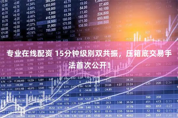 专业在线配资 15分钟级别双共振，压箱底交易手法首次公开！