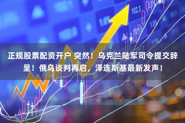 正规股票配资开户 突然！乌克兰陆军司令提交辞呈！俄乌谈判再启，泽连斯基最新发声！