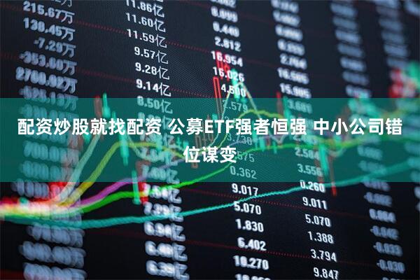 配资炒股就找配资 公募ETF强者恒强 中小公司错位谋变