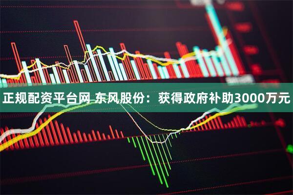 正规配资平台网 东风股份：获得政府补助3000万元