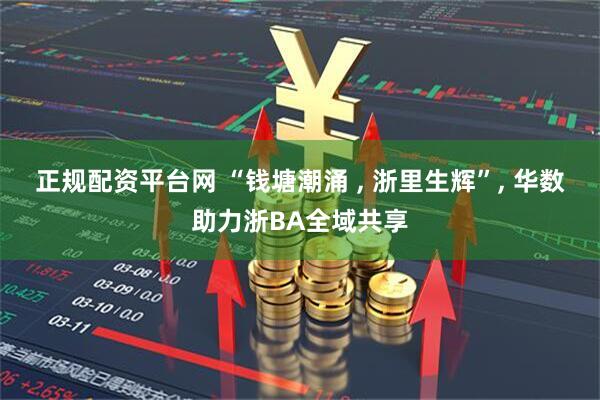 正规配资平台网 “钱塘潮涌 , 浙里生辉”, 华数助力浙BA全域共享