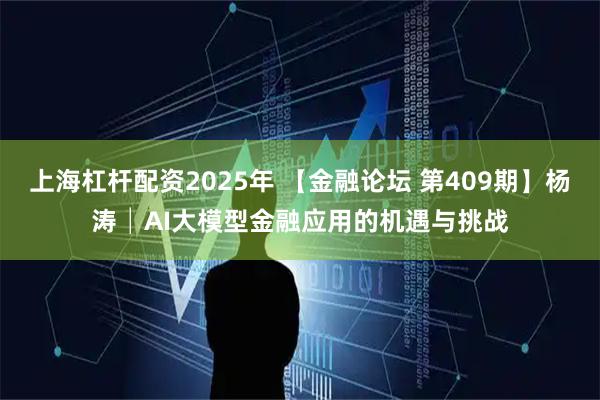 上海杠杆配资2025年 【金融论坛 第409期】杨涛│AI大模型金融应用的机遇与挑战